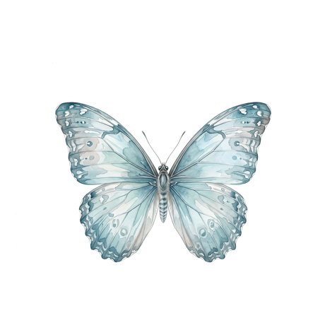 Open Sky Mindfulness butterfly logo
